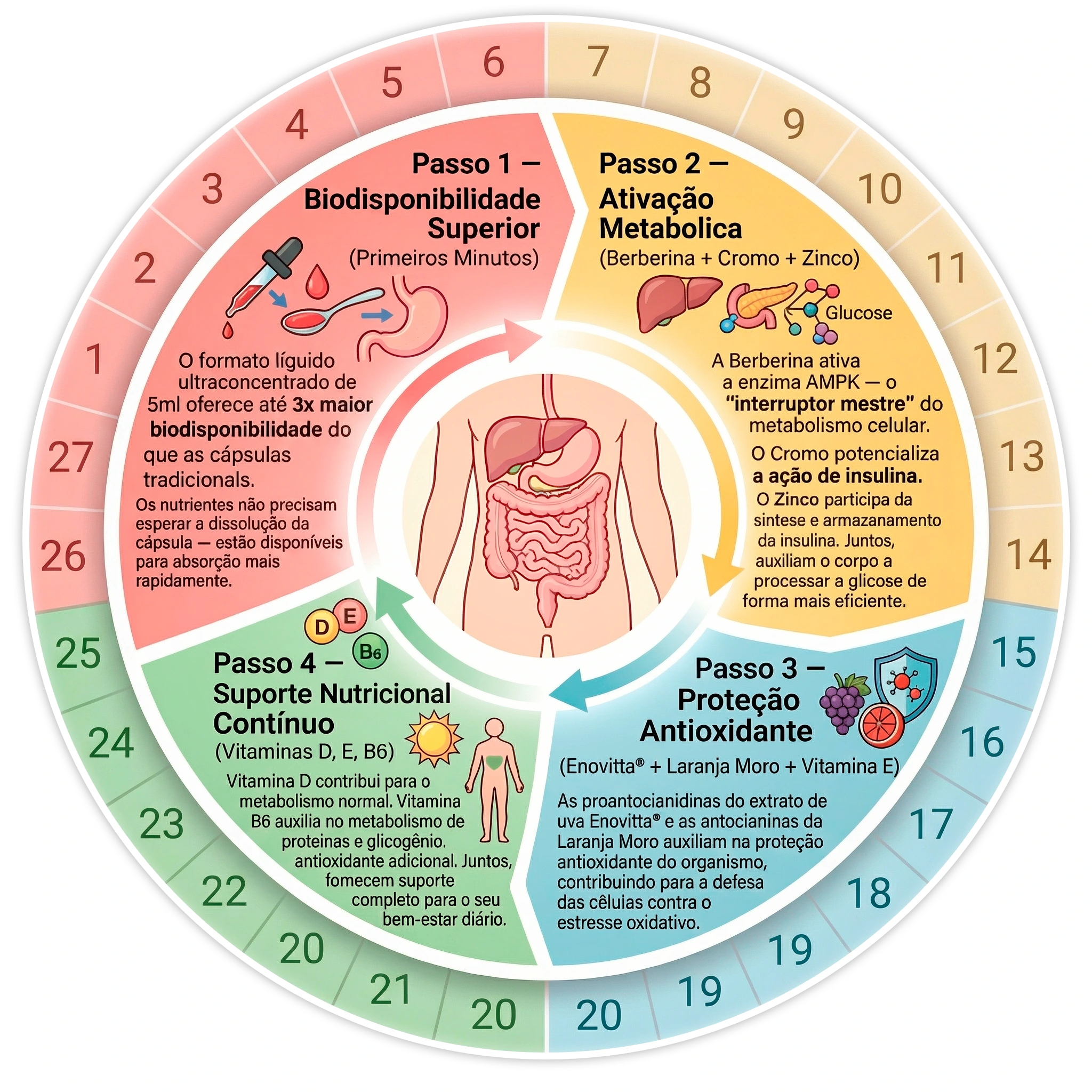 Composição circular dos ativos do Glicodose