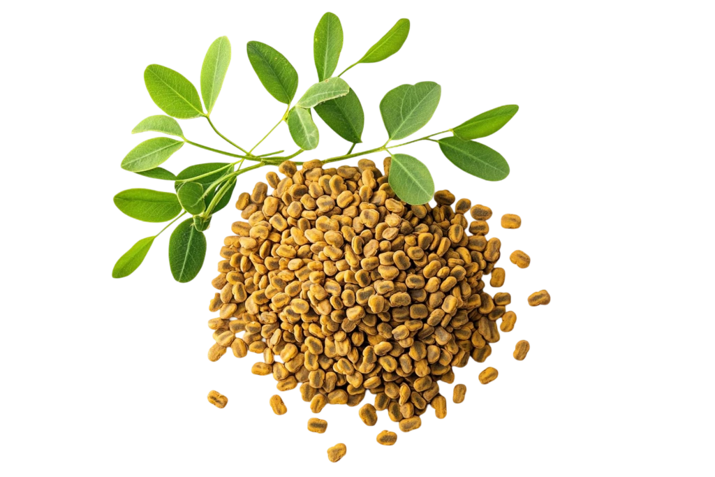 Ingrediente premium do Glicodose